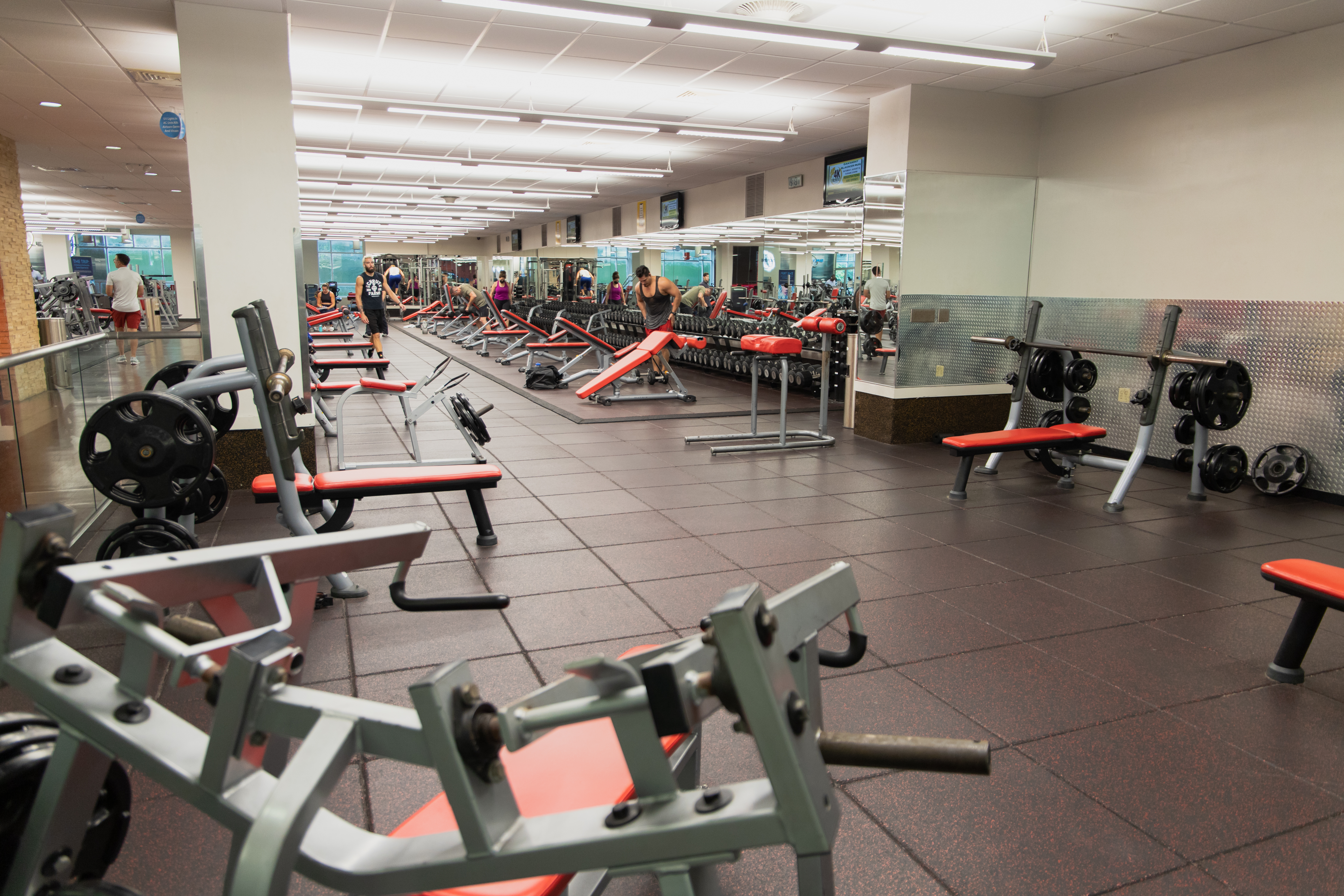 Open free weight space with benches, dumbbells, and barbells at Gainesville's largest gym. Request a free gym pass.