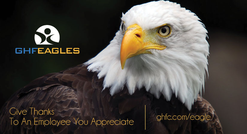Eagles at GHF