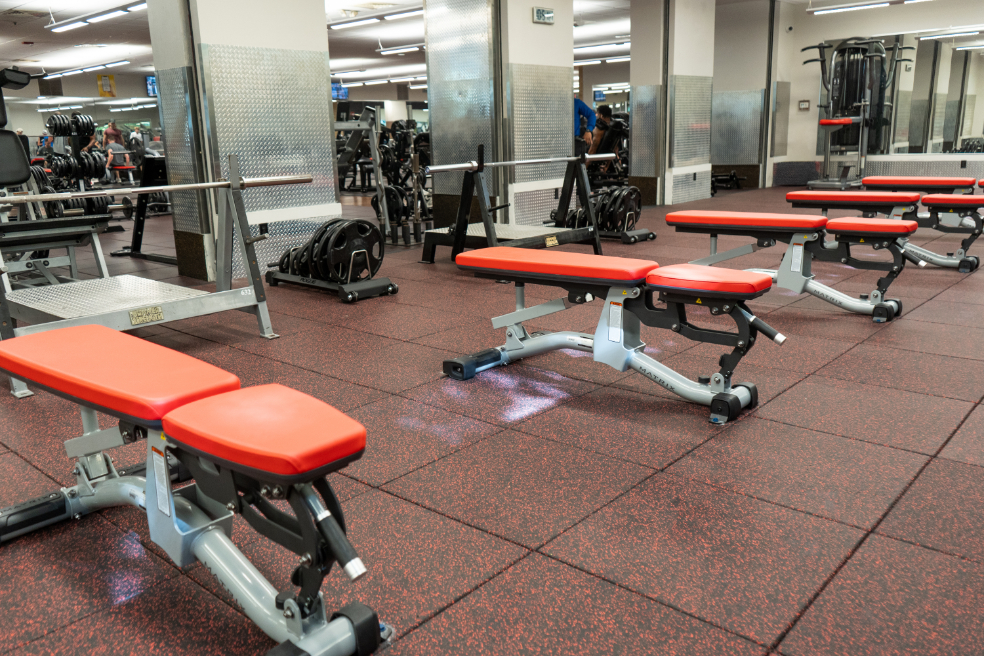 lifting benches in gainesville florida