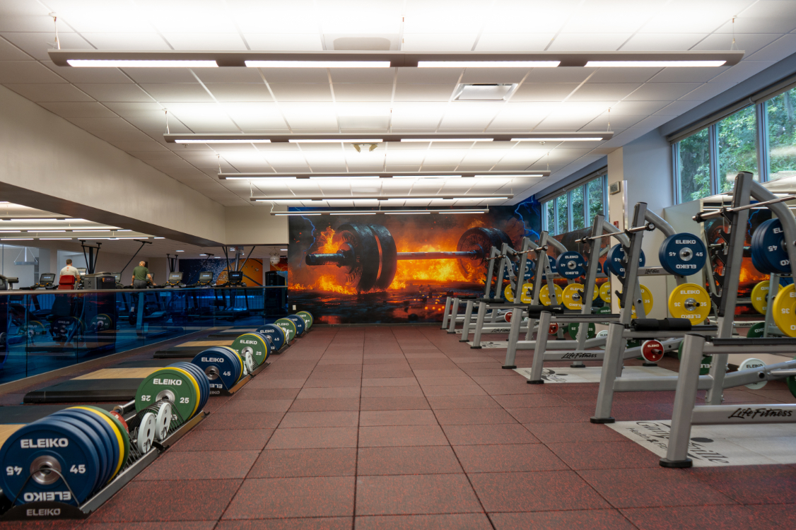 Strength training gainesville florida