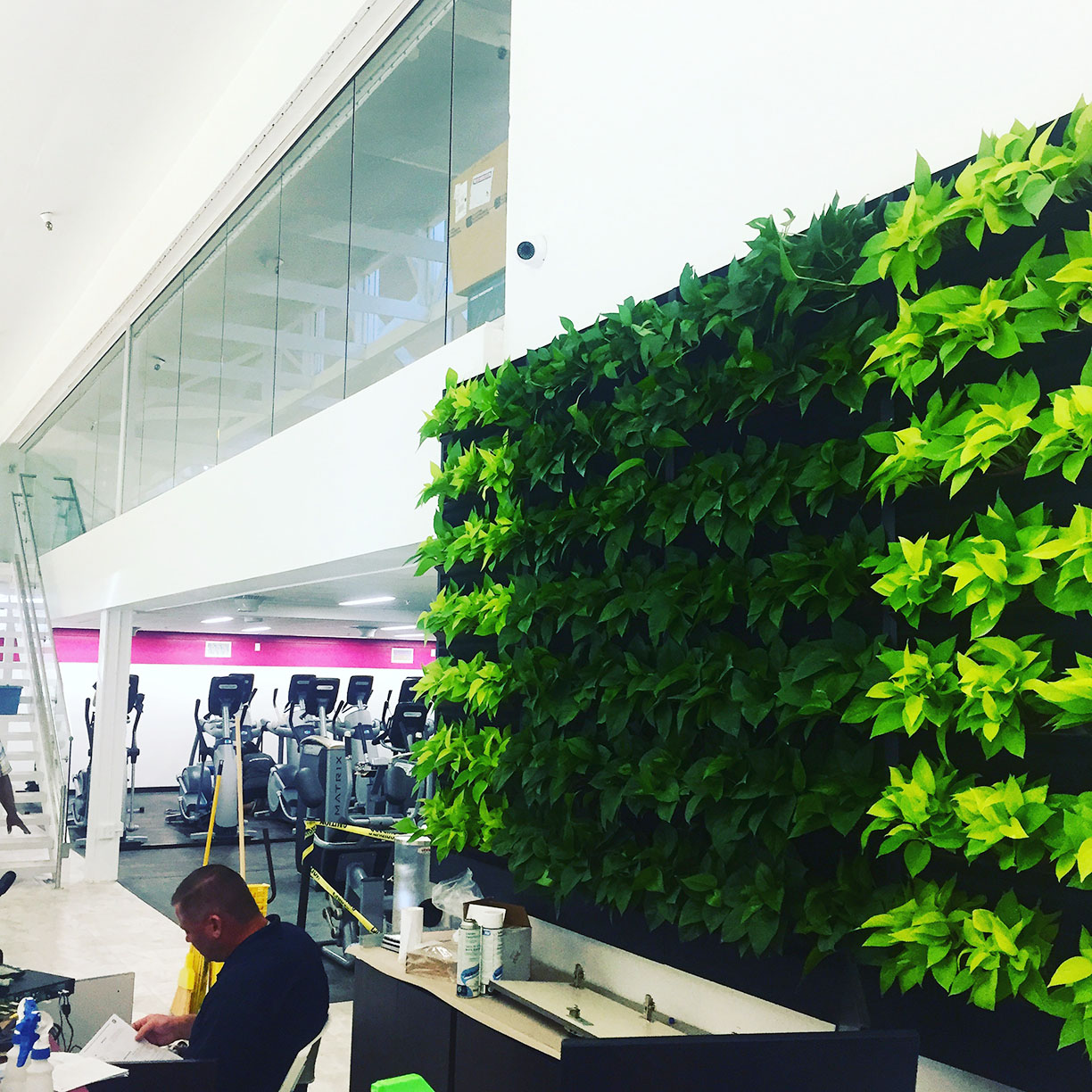 GHF WC Living Wall