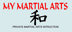 My Martial Arts Instructor