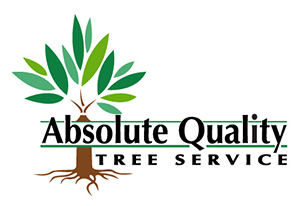 Absolute Quality Tree Service
