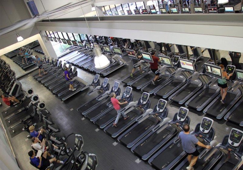 aerial views of rows on cardio treadmills, bikes, rowers, elipticals at GHF
