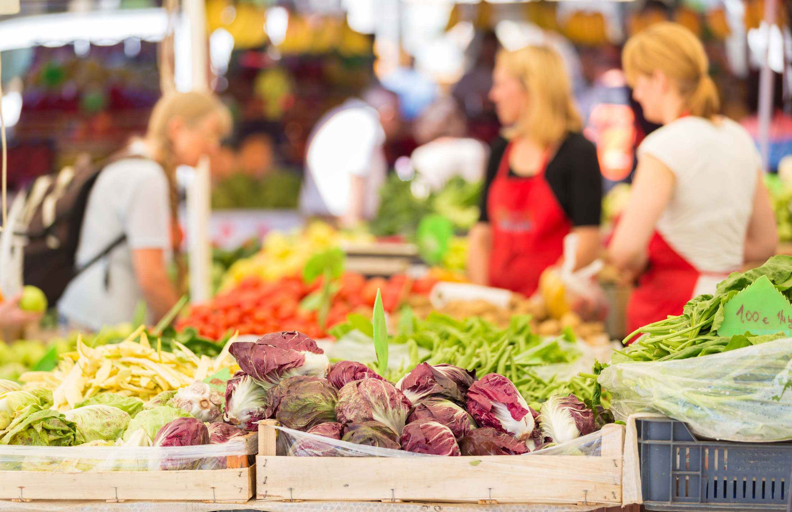 gainesville farmers market