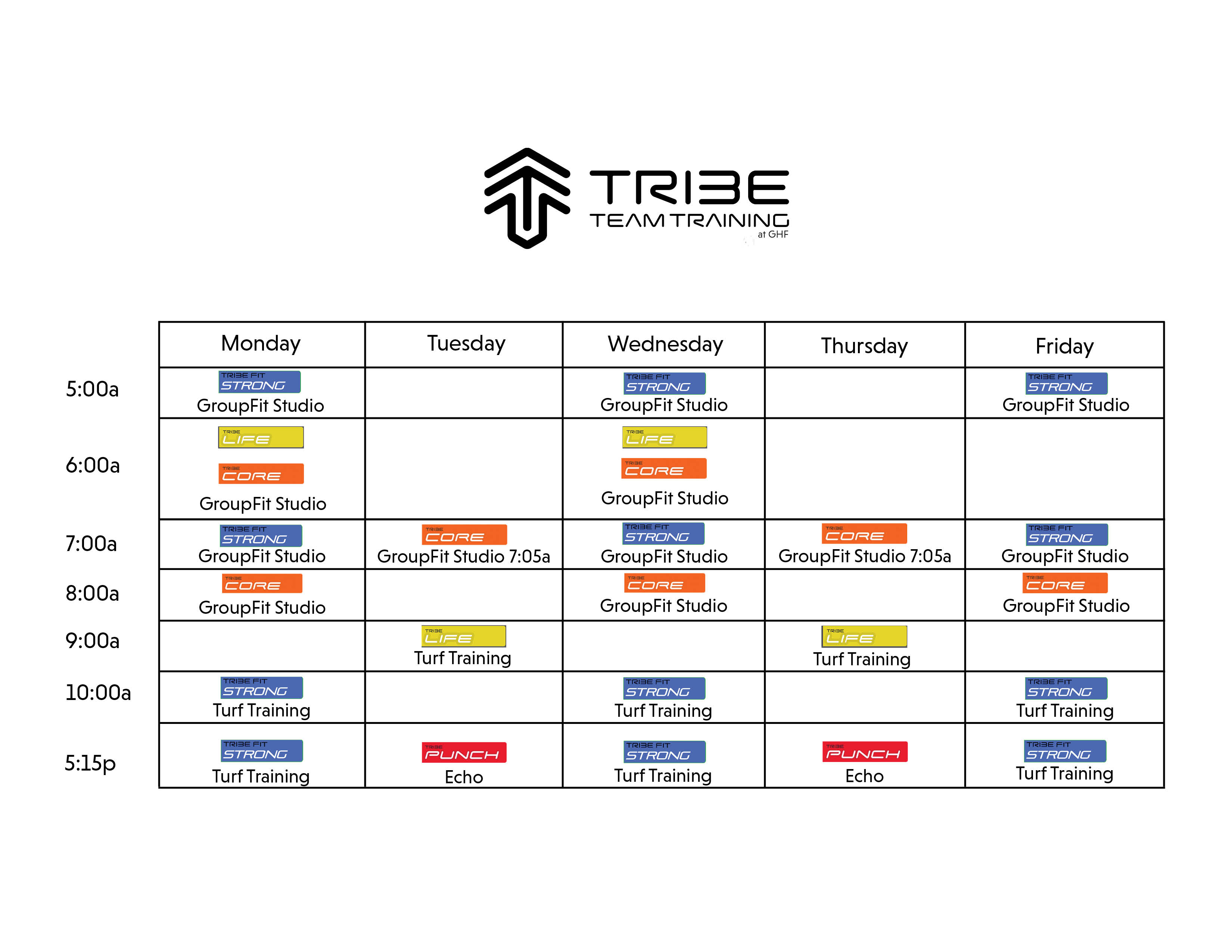 schedule of sessions for tribe team training at gainesville health and fitness