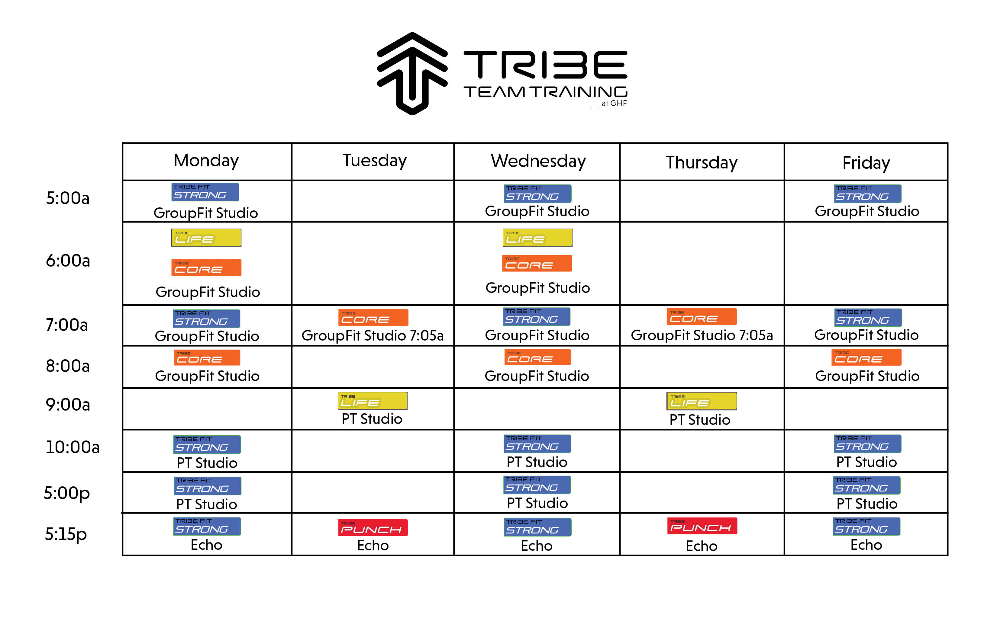 schedule of sessions for tribe team training at gainesville health and fitness